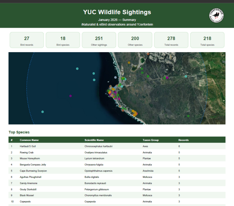 Blog News Events Yzerfontein Bewarea Conservancy Reports 768x676 